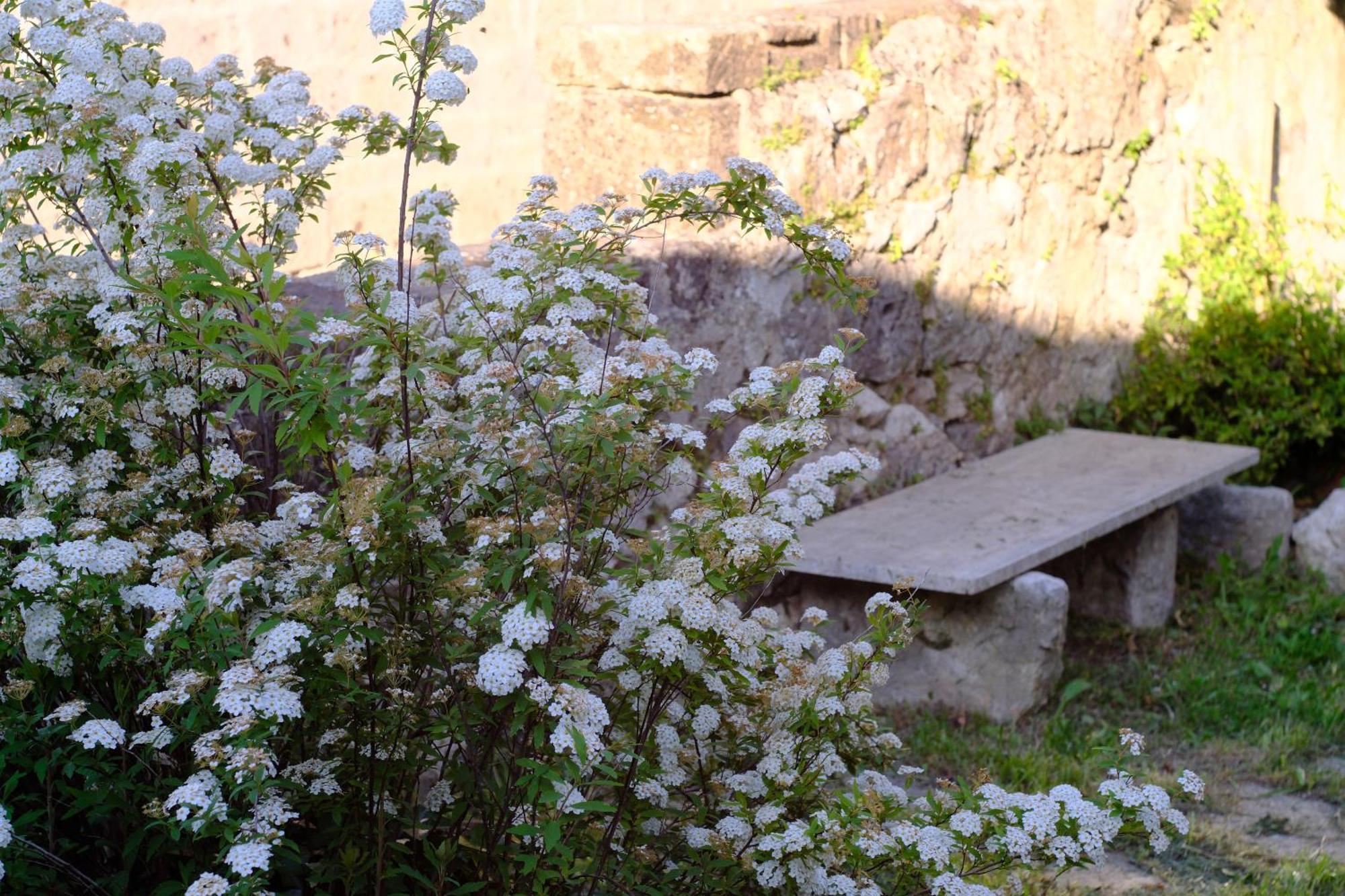 Conte Spencer Bed and Breakfast Caserta Vecchia Exterior foto