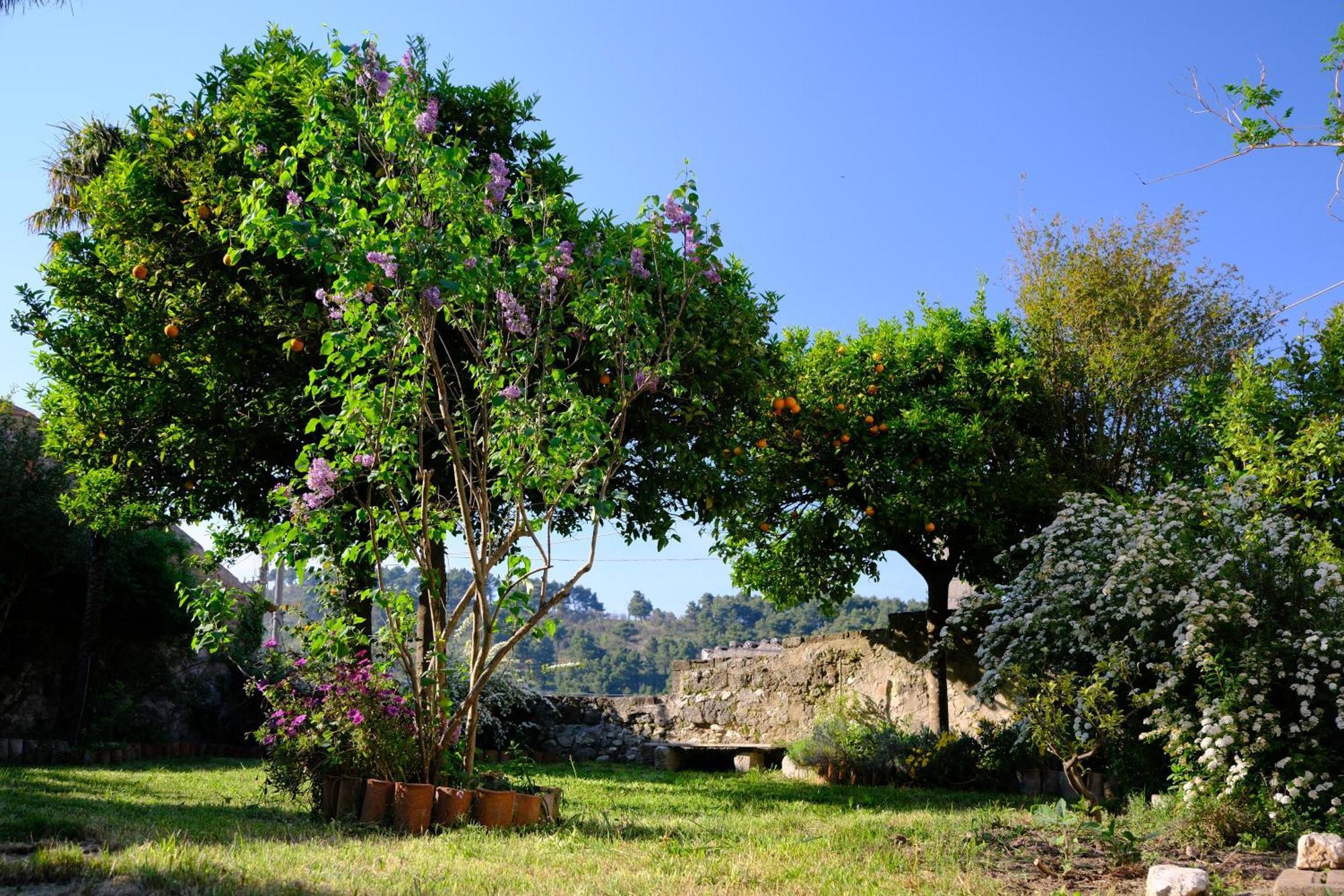 Conte Spencer Bed and Breakfast Caserta Vecchia Exterior foto